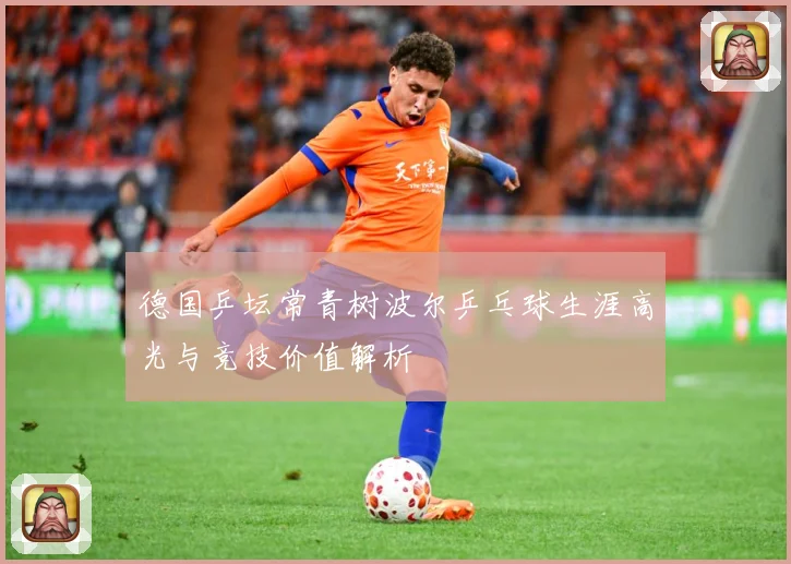 德国乒坛常青树波尔乒乓球生涯高光与竞技价值解析