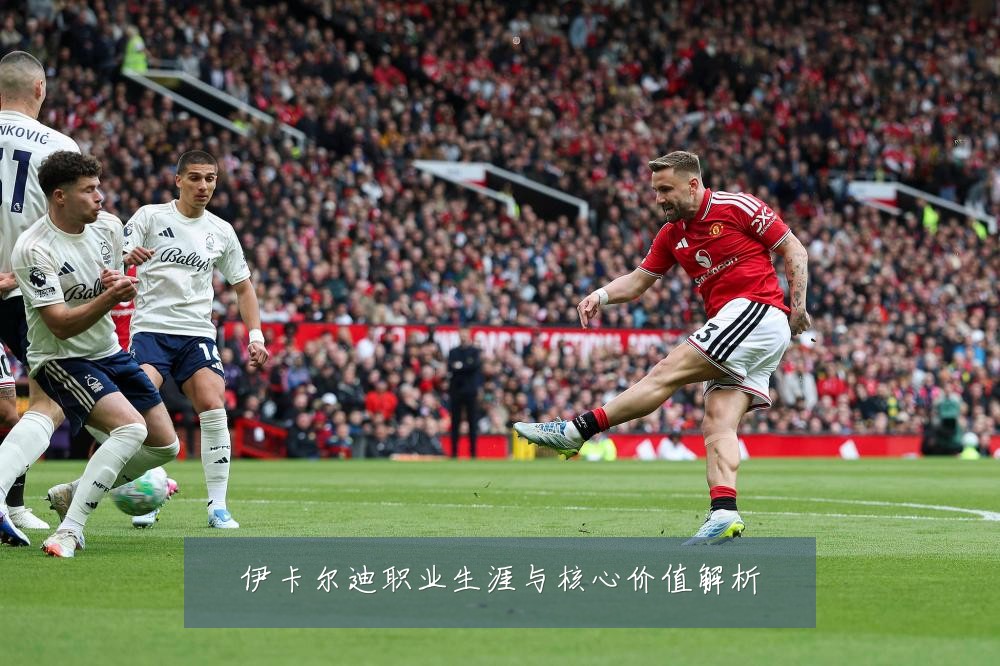 伊卡尔迪职业生涯与核心价值解析