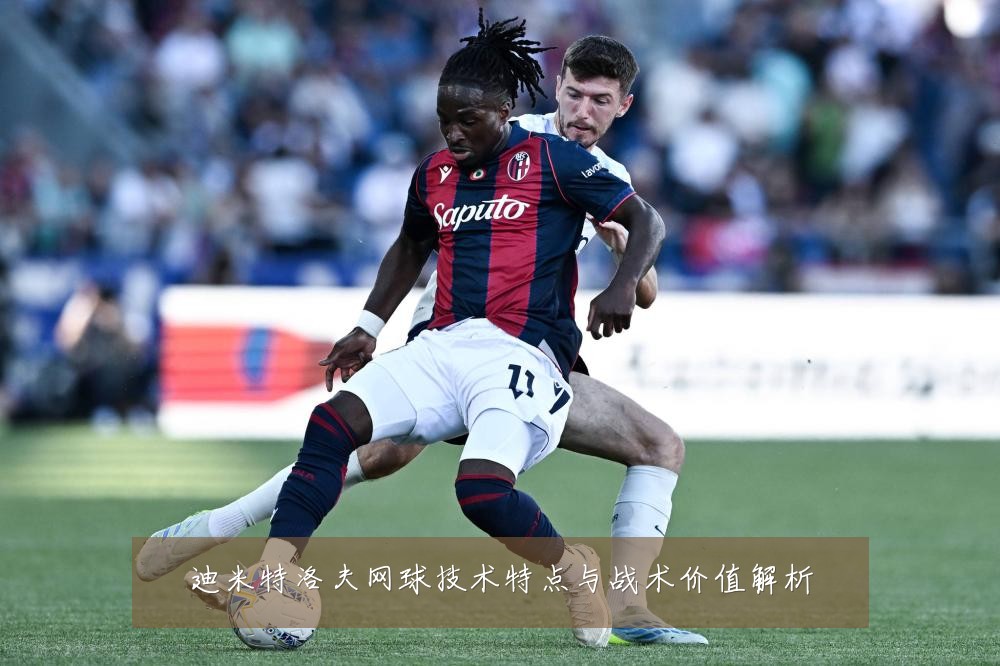 迪米特洛夫网球技术特点与战术价值解析